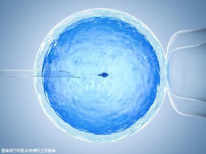 生殖中心